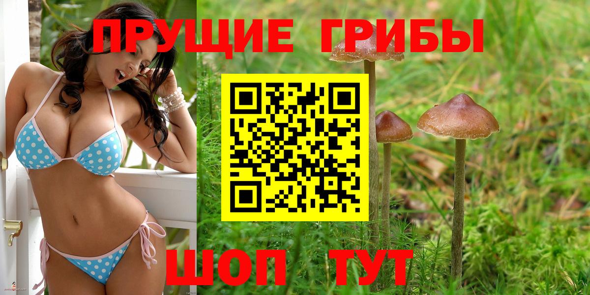 Псилоцибиновые грибы MAGIC MUSHROOMS Гурьевск